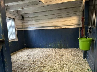 stallplats Stallplatser lediga i Skokloster – Stall Frista - Annons 12