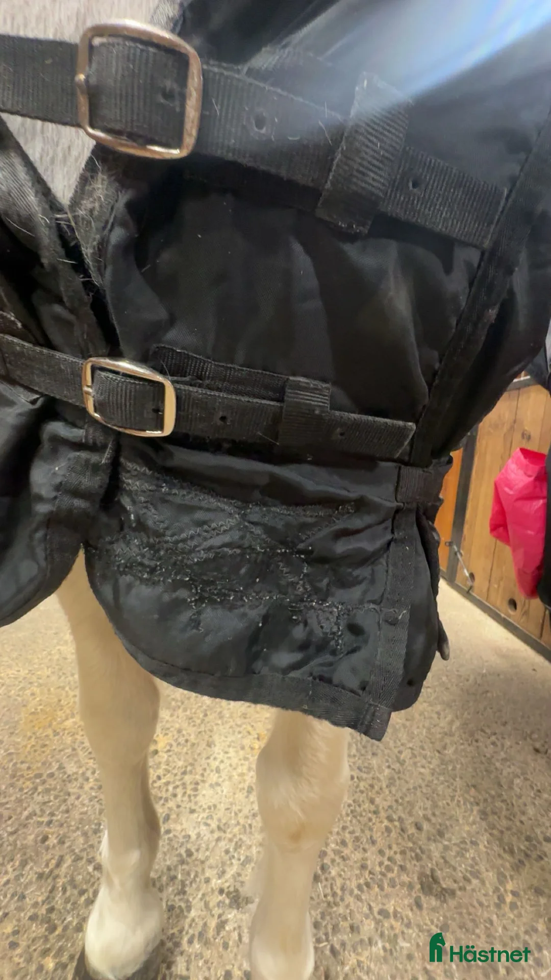 Täcken hästutrustning till salu: Back on track nättäcke storlek 135 i Boden - Annons 3