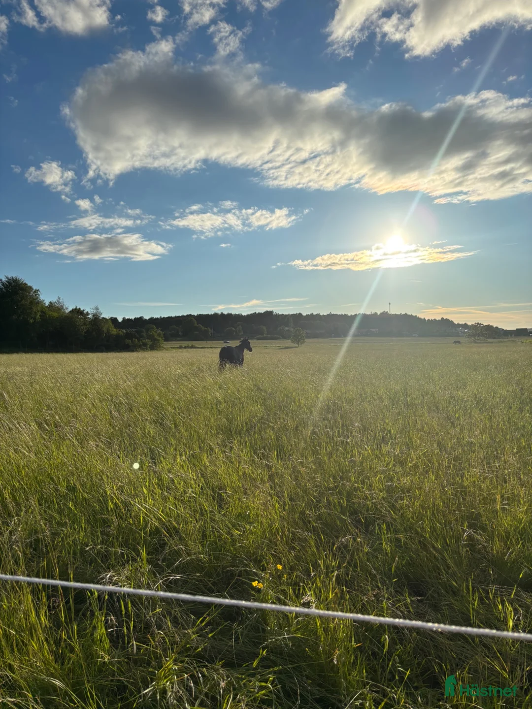  stallplats finnes: Lediga stallplatser i Björlanda, Göteborg - Annons 2