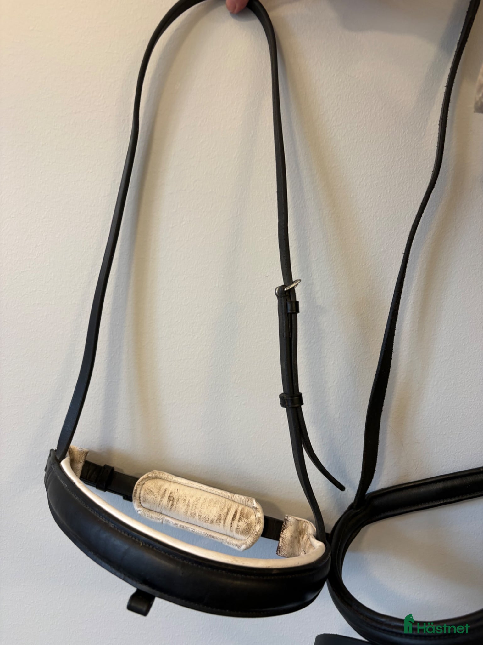 Träns hästutrustning Nosgrimmor - Annons 17