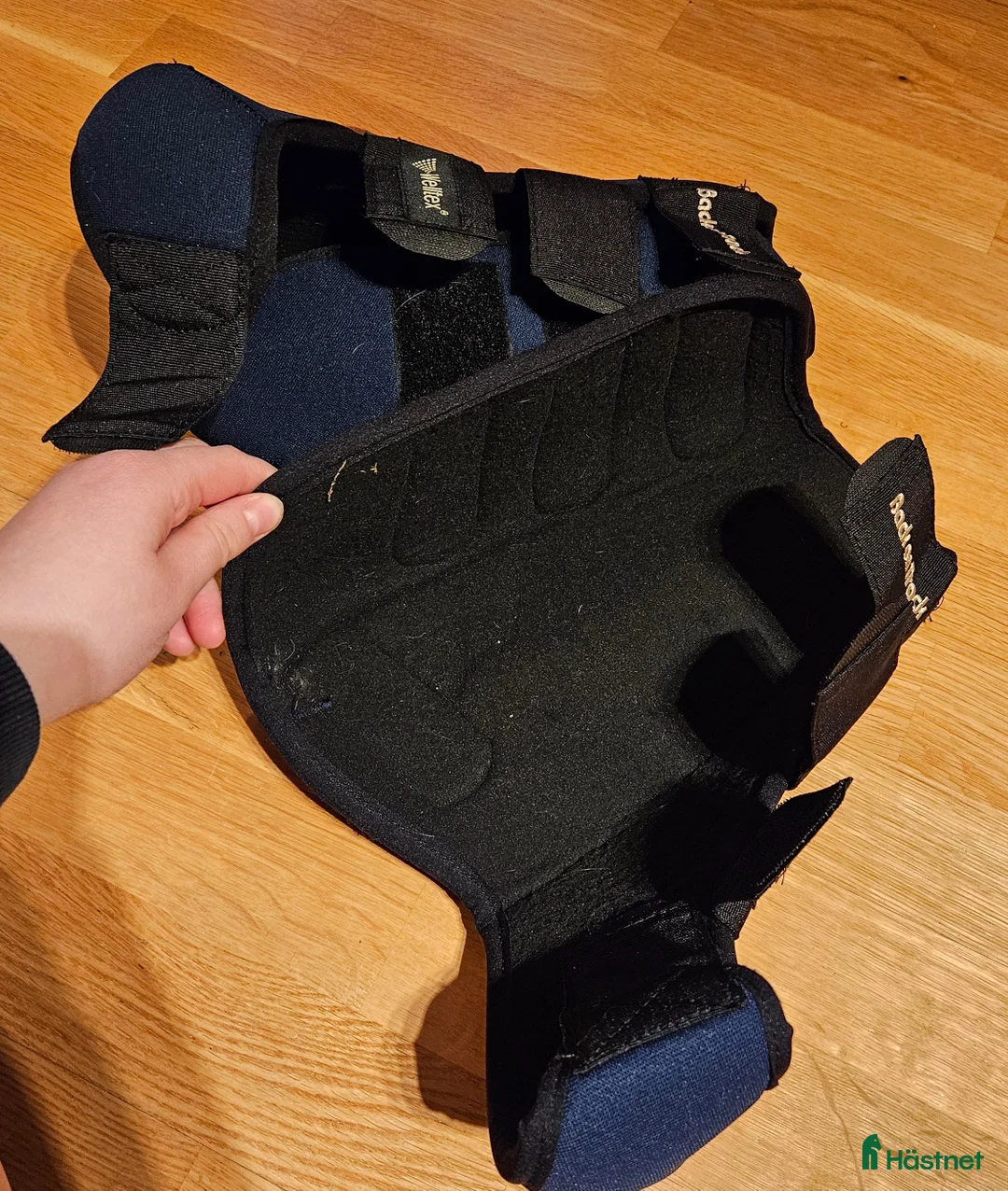 Benskydd hästutrustning till salu: Back on Track Opal L i Solna - Annons 3