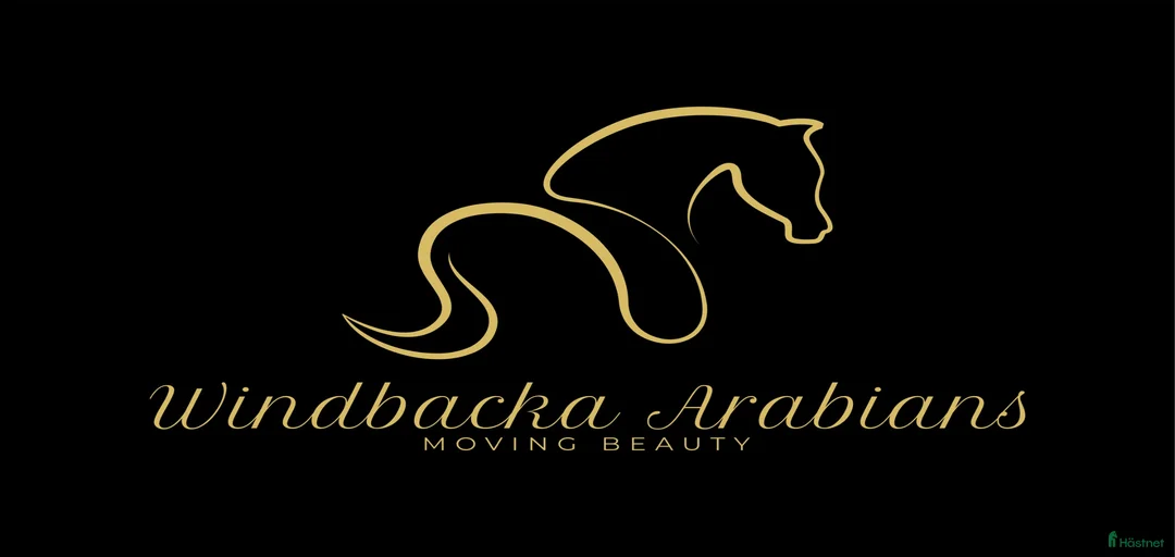 Galleribild {{count}}