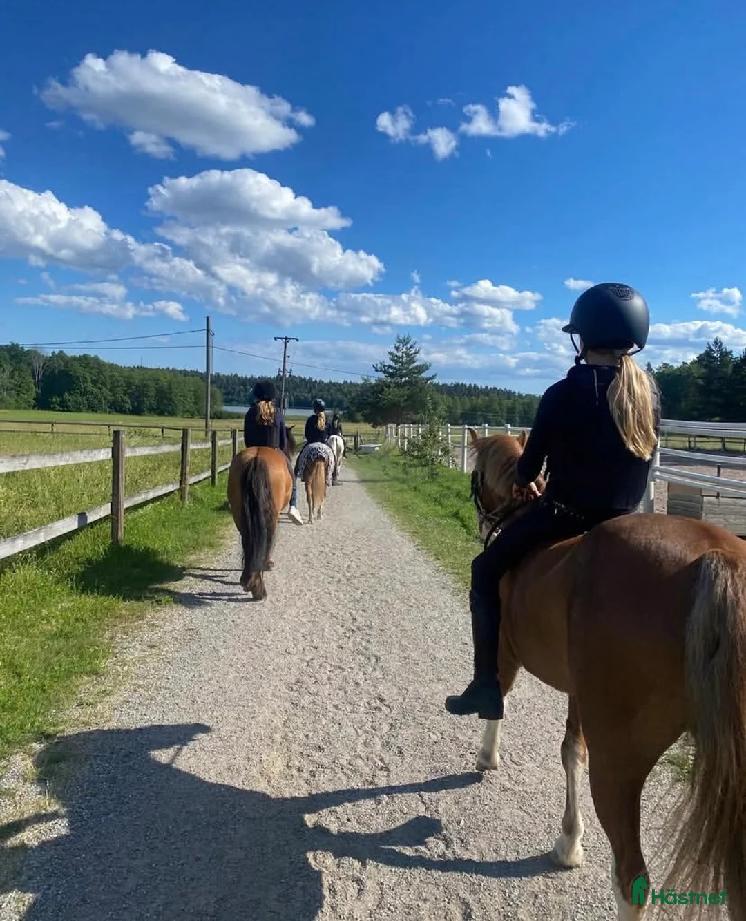  medryttarhäst finnes: 🐴 Medryttare sökes till Karlshems ponnyklubb 🐴 - Annons 5