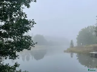 hästar Islandshäst - Annons 2