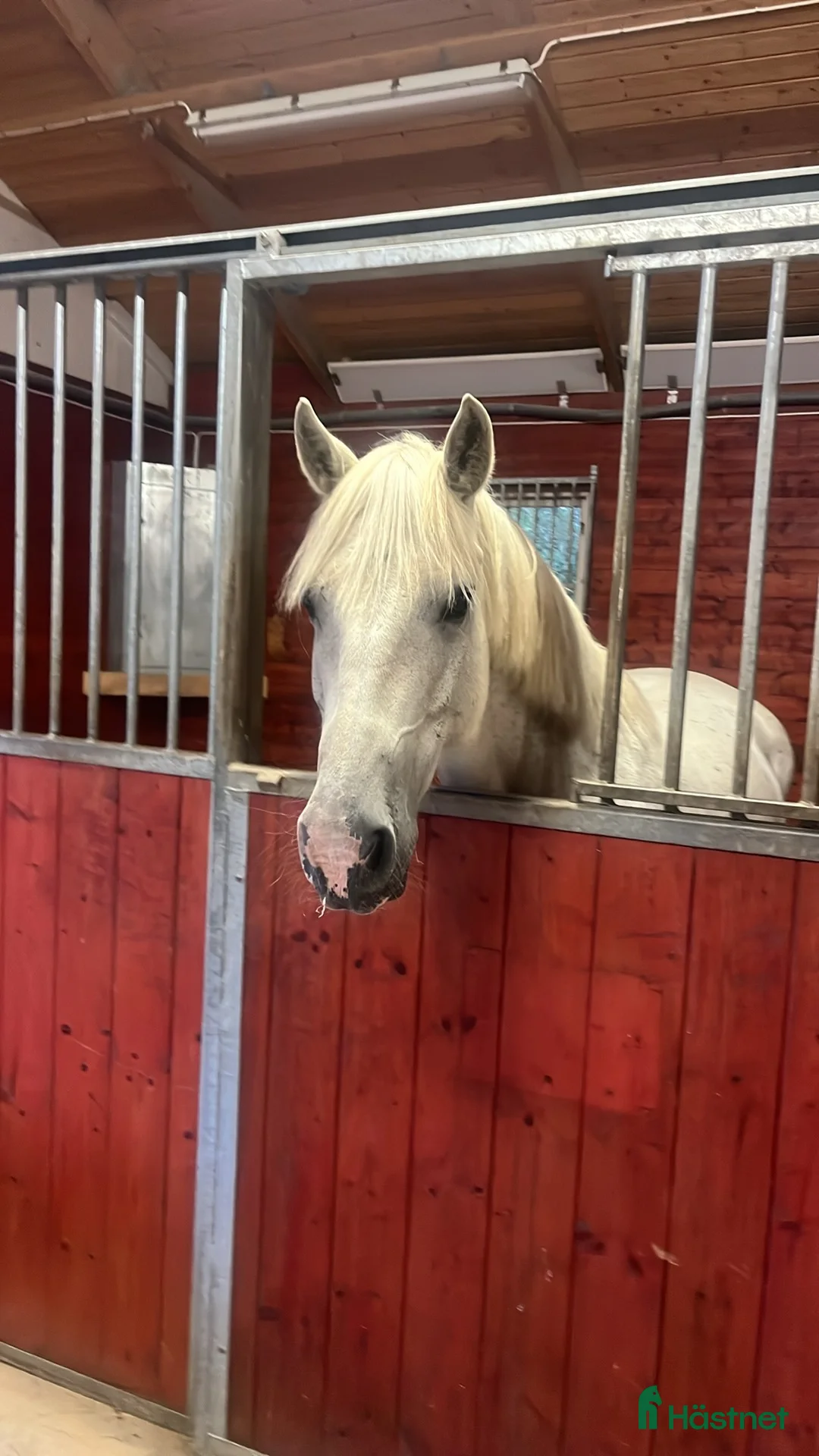  stallplats finnes: Stallplats i sorunda - Annons 1