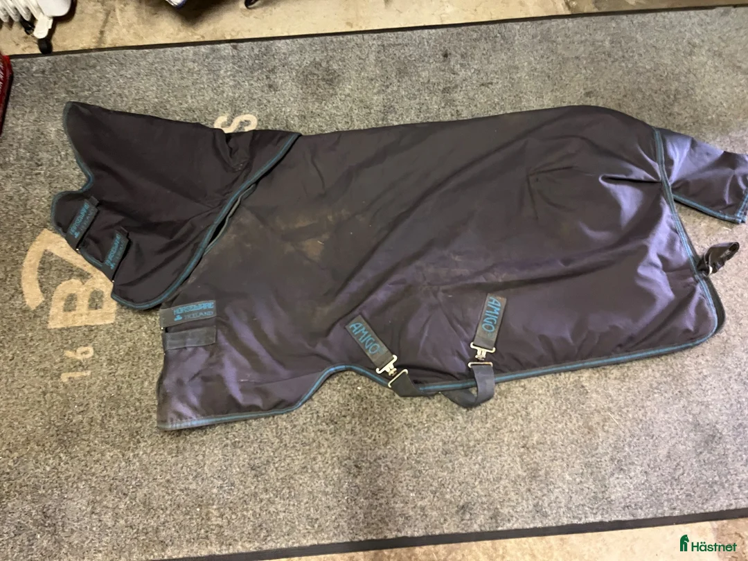 Täcken hästutrustning till salu: Horseware Amigo 200g - Annons 1