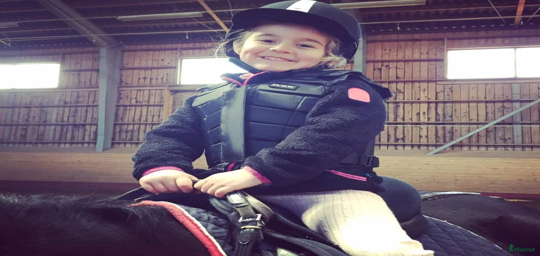 Galleribild {{count}}