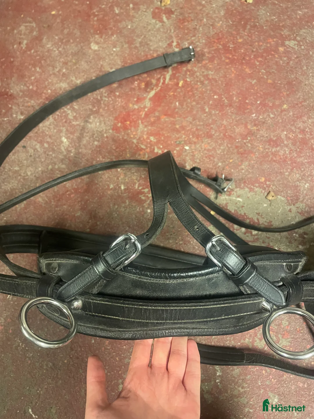 Övrig Hästutrustning hästutrustning till salu: Shettis utrustning  - Annons 2