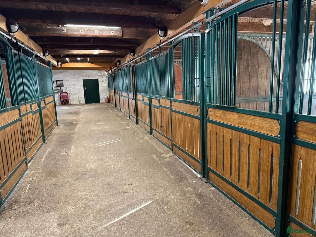 Stallinredning, stängsel & gård övrig utrustning till salu: Röwer & Rüb stallinredning i Ängelholm - Annons 8