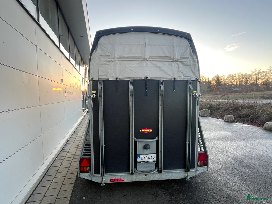 Hästtransporter  fordon & transport till salu: Böckmann duo bra skick i Värnamo - Annons 4