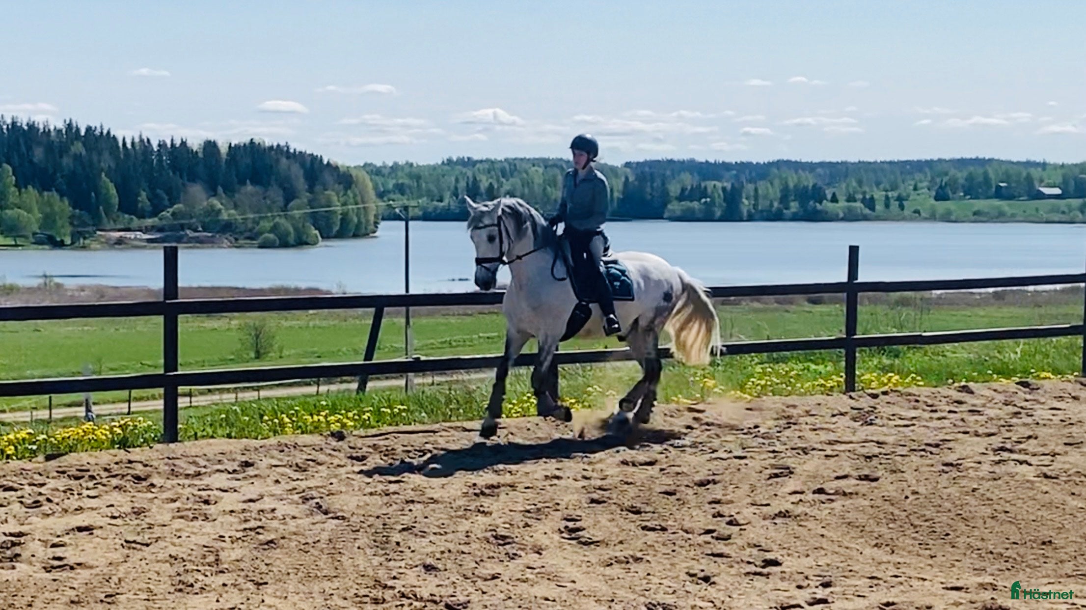  hästjobb Riding & stable duties - Annons 10