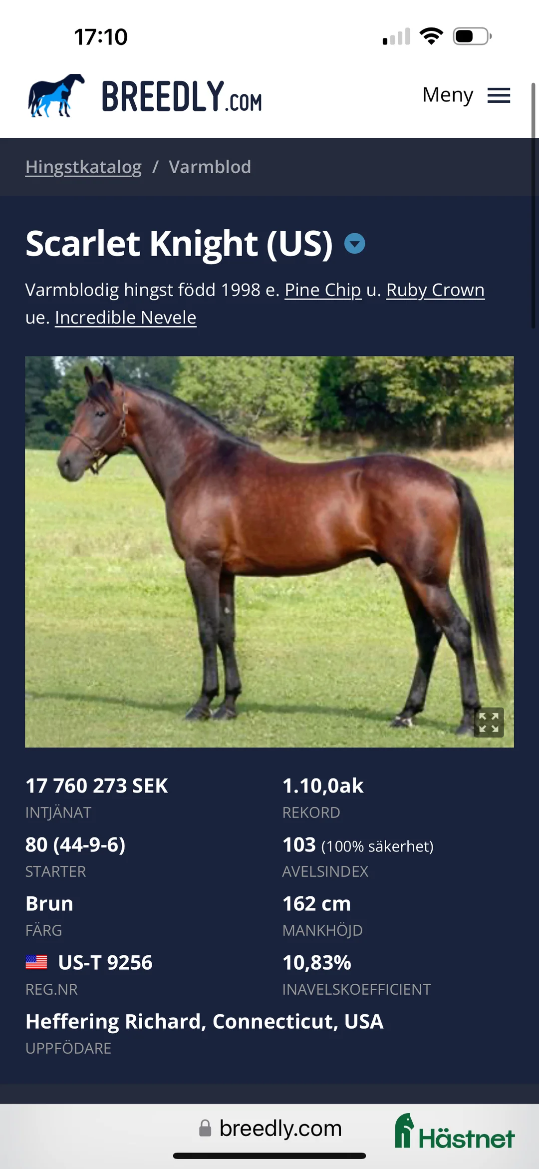 Allround hästar till salu: Sto gis bort!! Oldefar:Scarlet Knight (US)98 i Strömstad - Annons 5