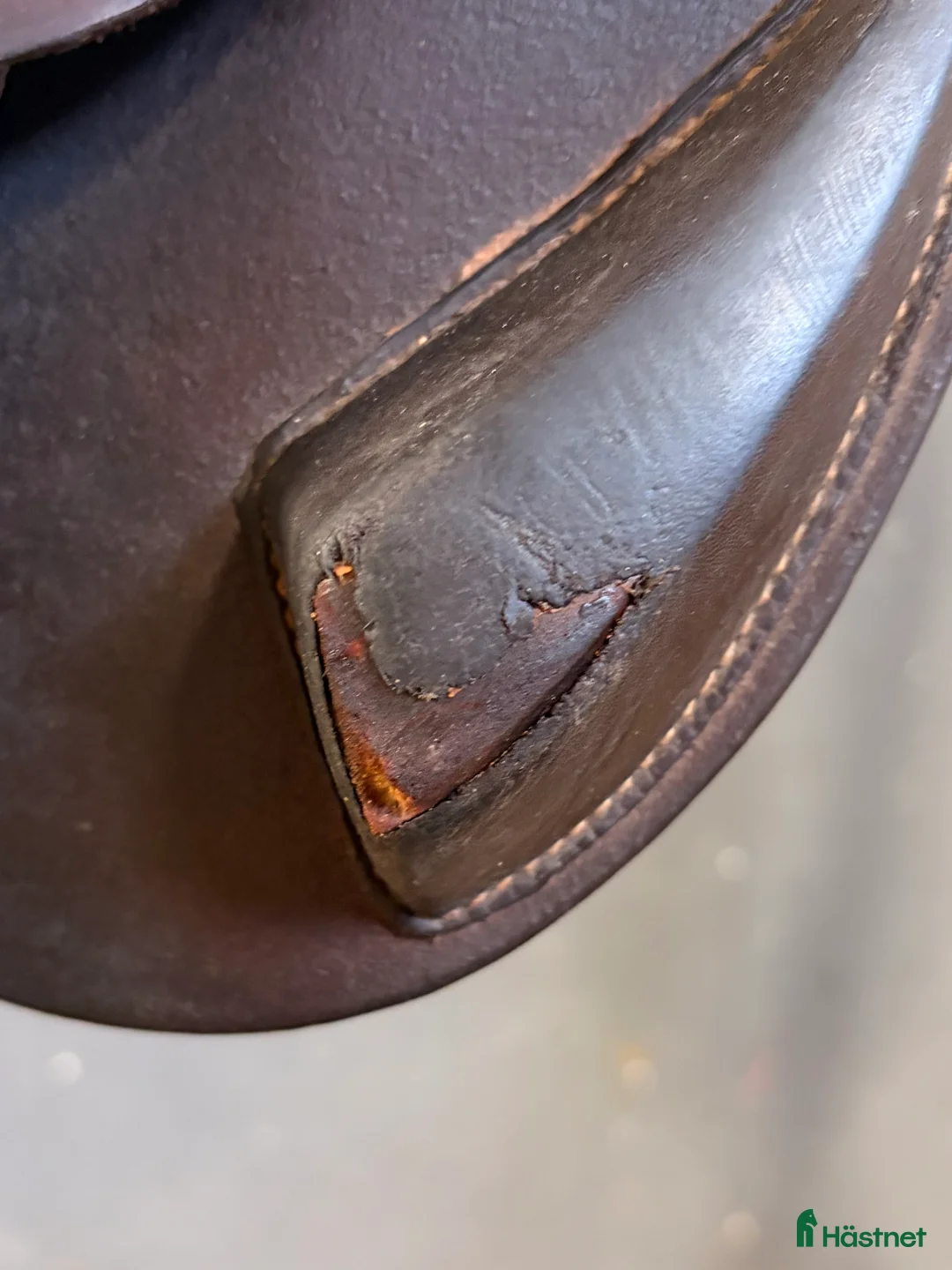 Sadlar hästutrustning till salu: Antarès Altaïr hoppsadel till salu i Perstorp - Annons 8