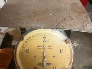 Stallinredning, stängsel & gård övrig utrustning till salu: Stall våg i Kågeröd - Annons 2