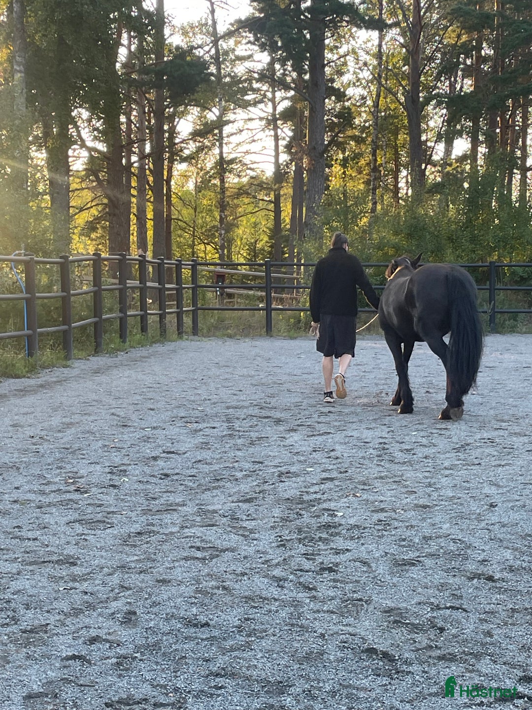  stallplats finnes: Boxplats för 2 valacker!  - Annons 10