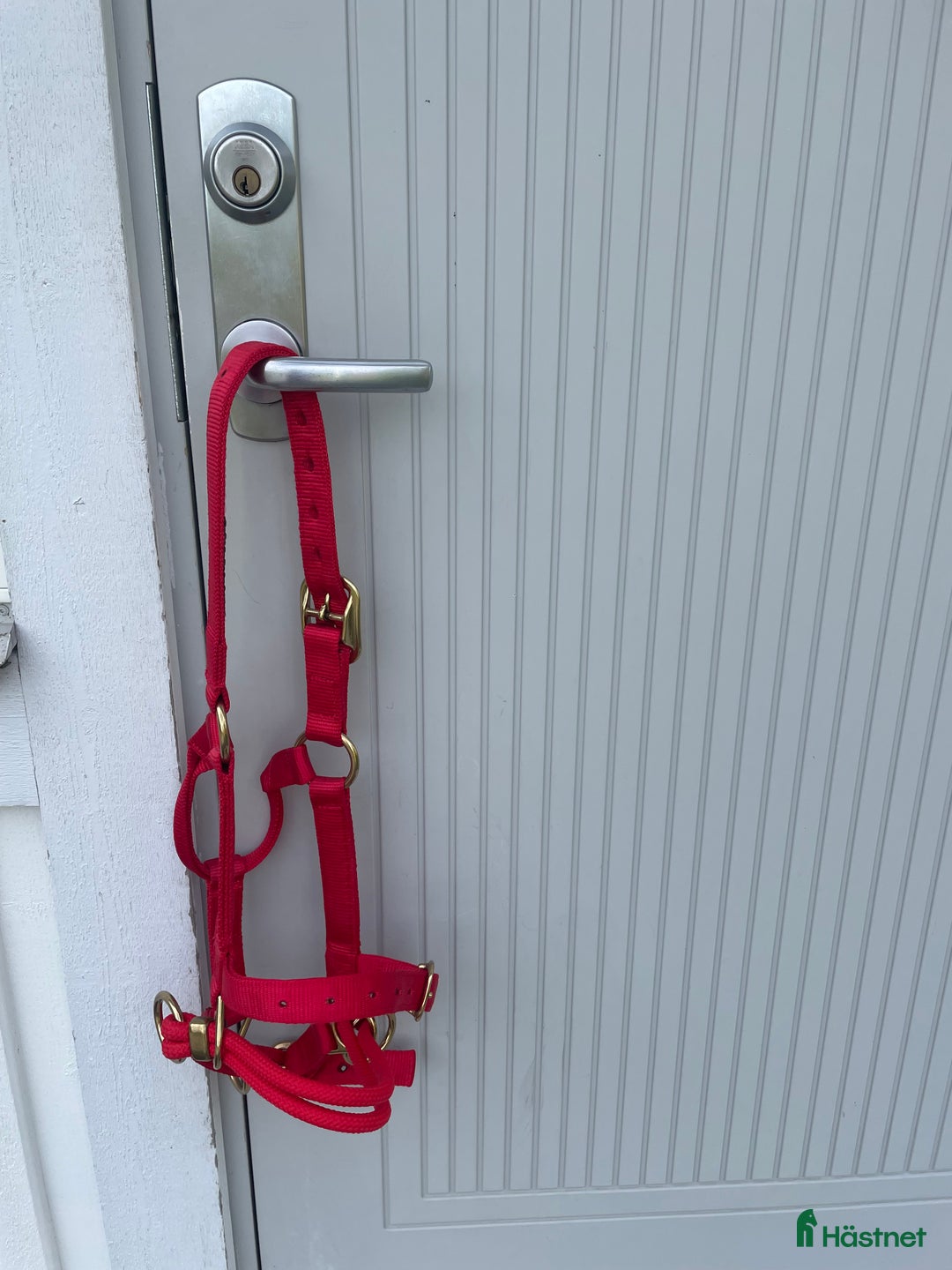 Övrig Hästutrustning hästutrustning till salu: Monty Robert’s dually  i Väddö - Annons 2