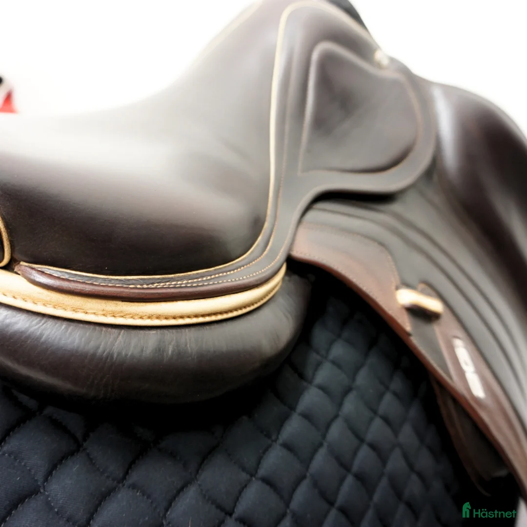 Sadlar hästutrustning till salu: CWD Mademoiselle 2Gs 17,5" i Upplands Väsby - Annons 5