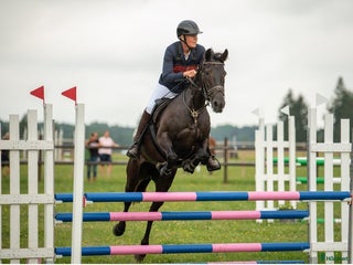 hästar Hoppglatt sto i Uppsala - Annons 9