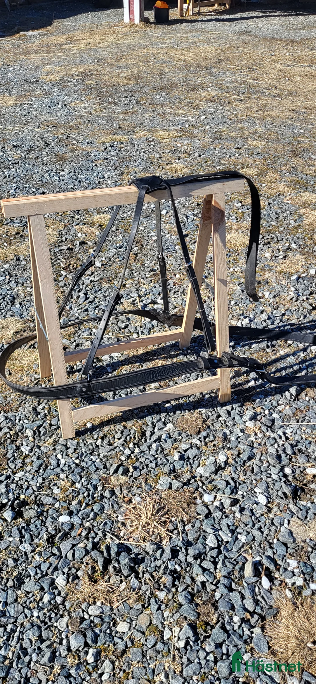 Körselar körning till salu: Ny sele. - Annons 2