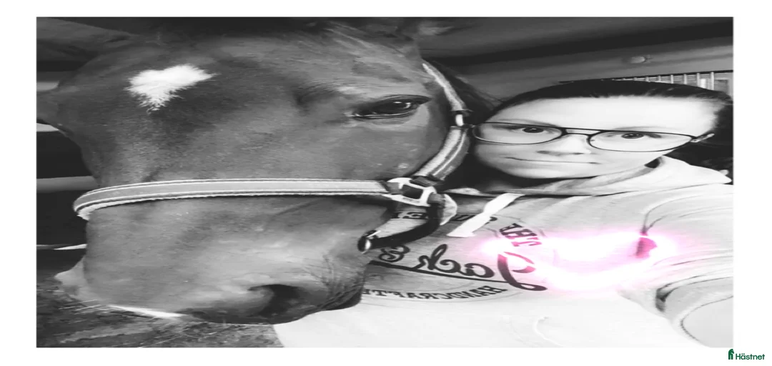 Galleribild {{count}}