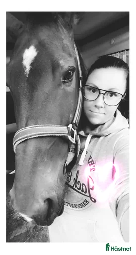 Galleribild {{count}}