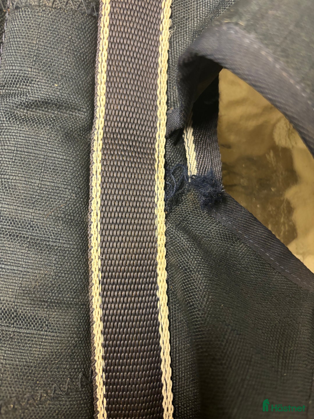 Benskydd hästutrustning till salu: Transportskydd  i Vinninga - Annons 2