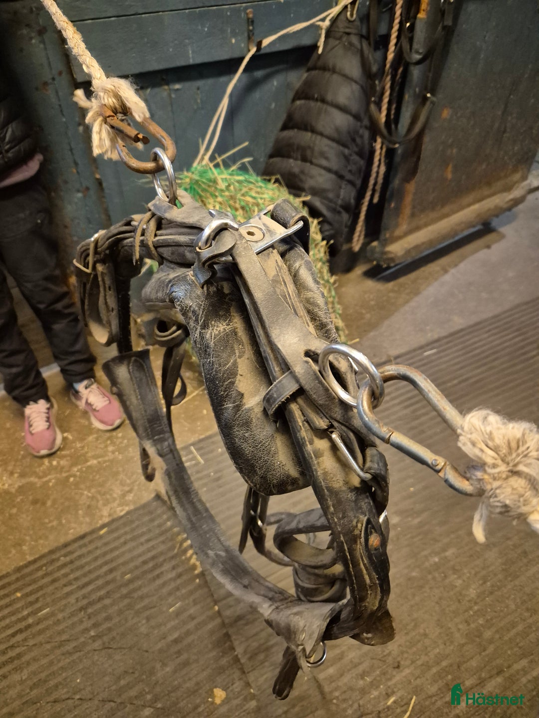 Körselar körning till salu: Shettissele  - Annons 2