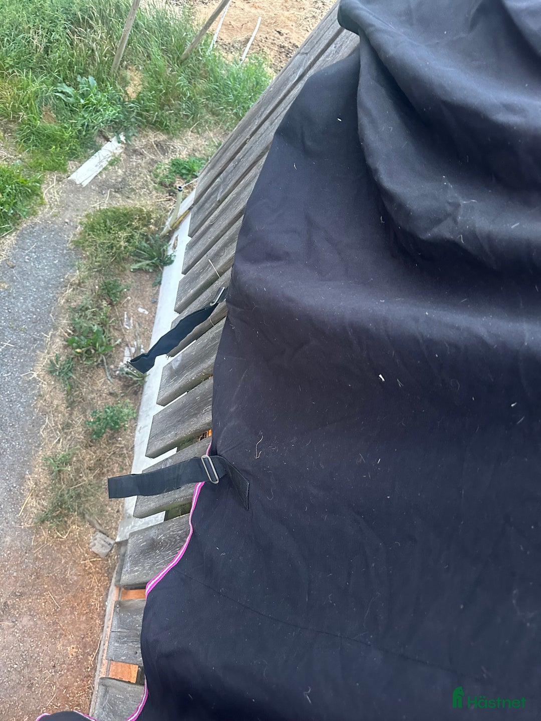 Täcken hästutrustning till salu: Svett täcke från Amigo, nyskick! i Forserum - Annons 6