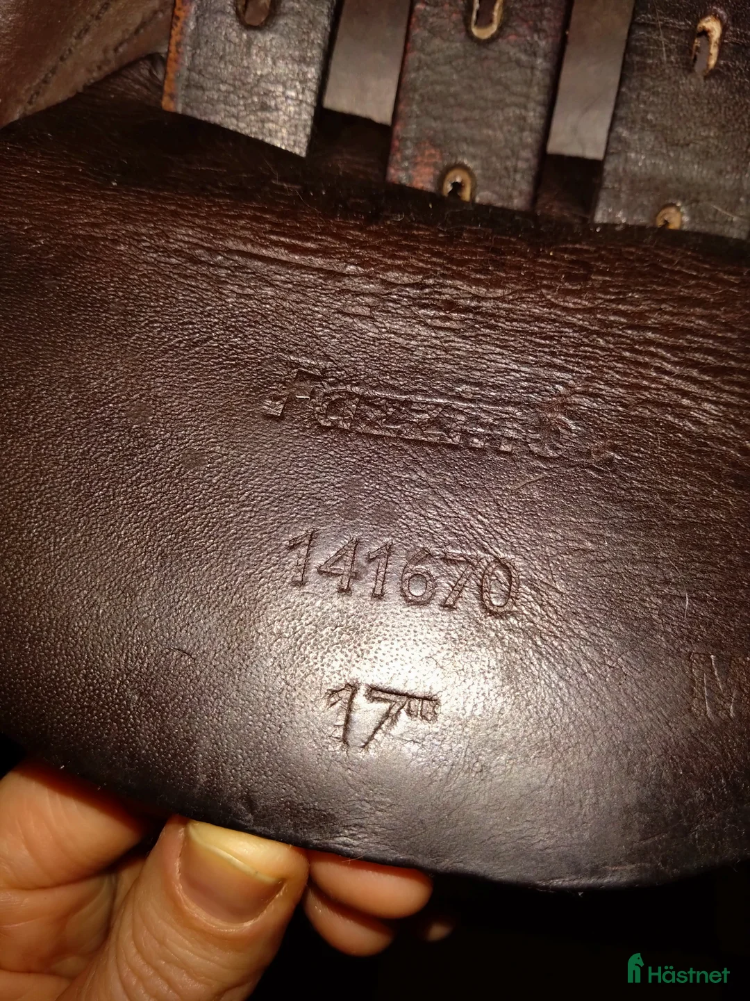 Sadlar hästutrustning till salu: Lippo Fazzino 17.5 MW i Stugun - Annons 5