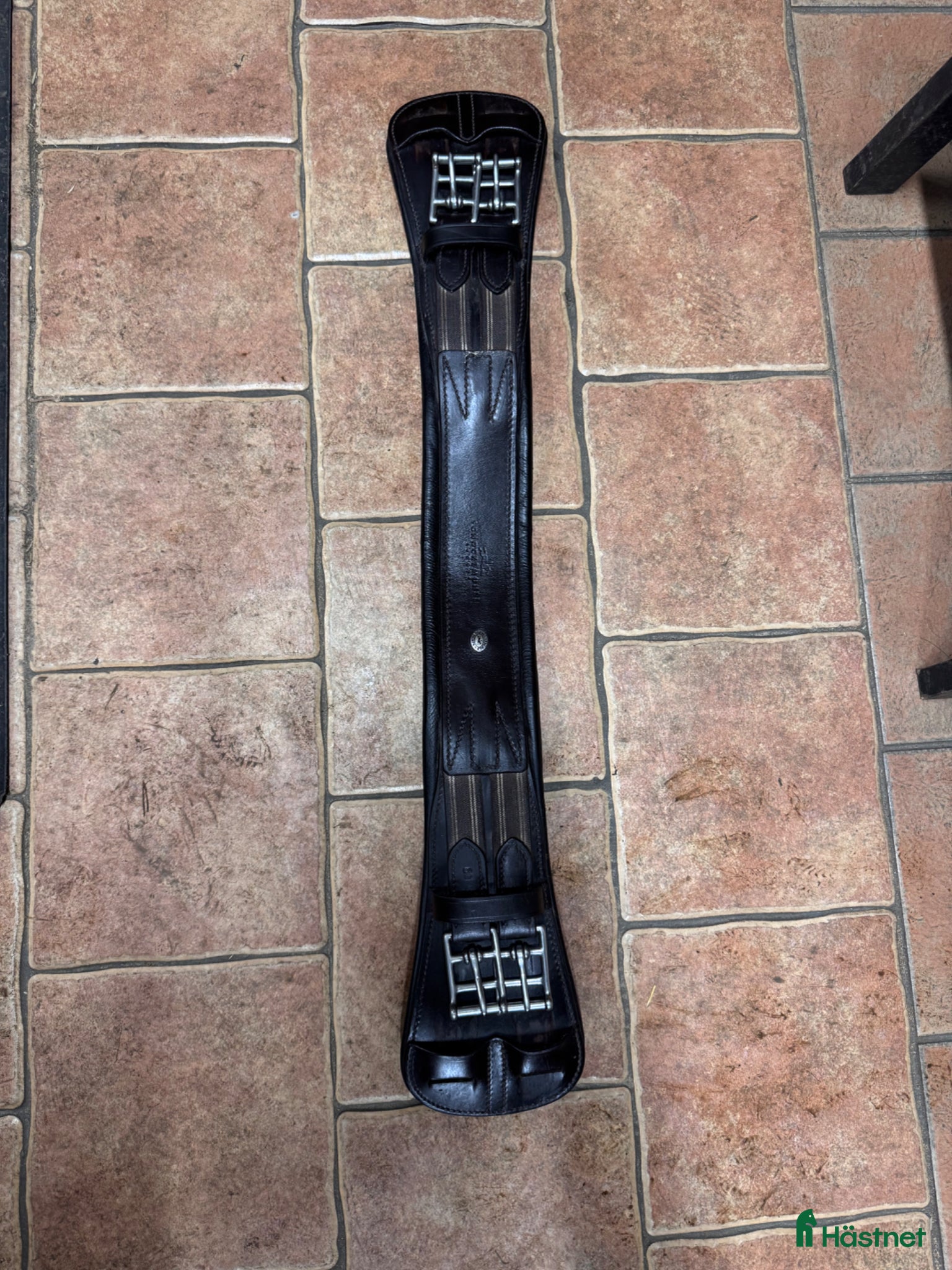 Sadeltillbehör hästutrustning Schockemöhler dressyrgjord  - Annons 8