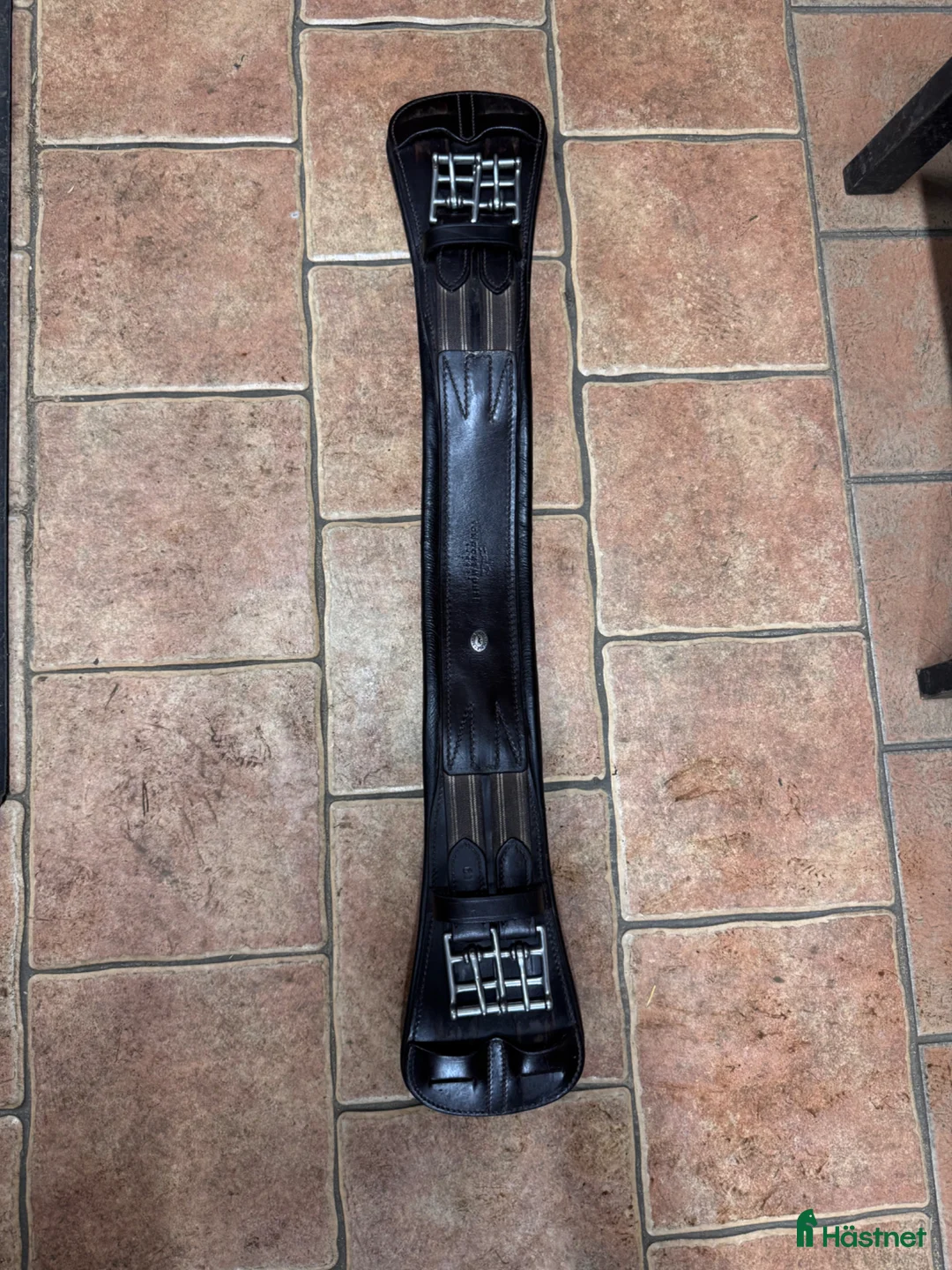 Sadeltillbehör hästutrustning till salu: Schockemöhler dressyrgjord  - Annons 1