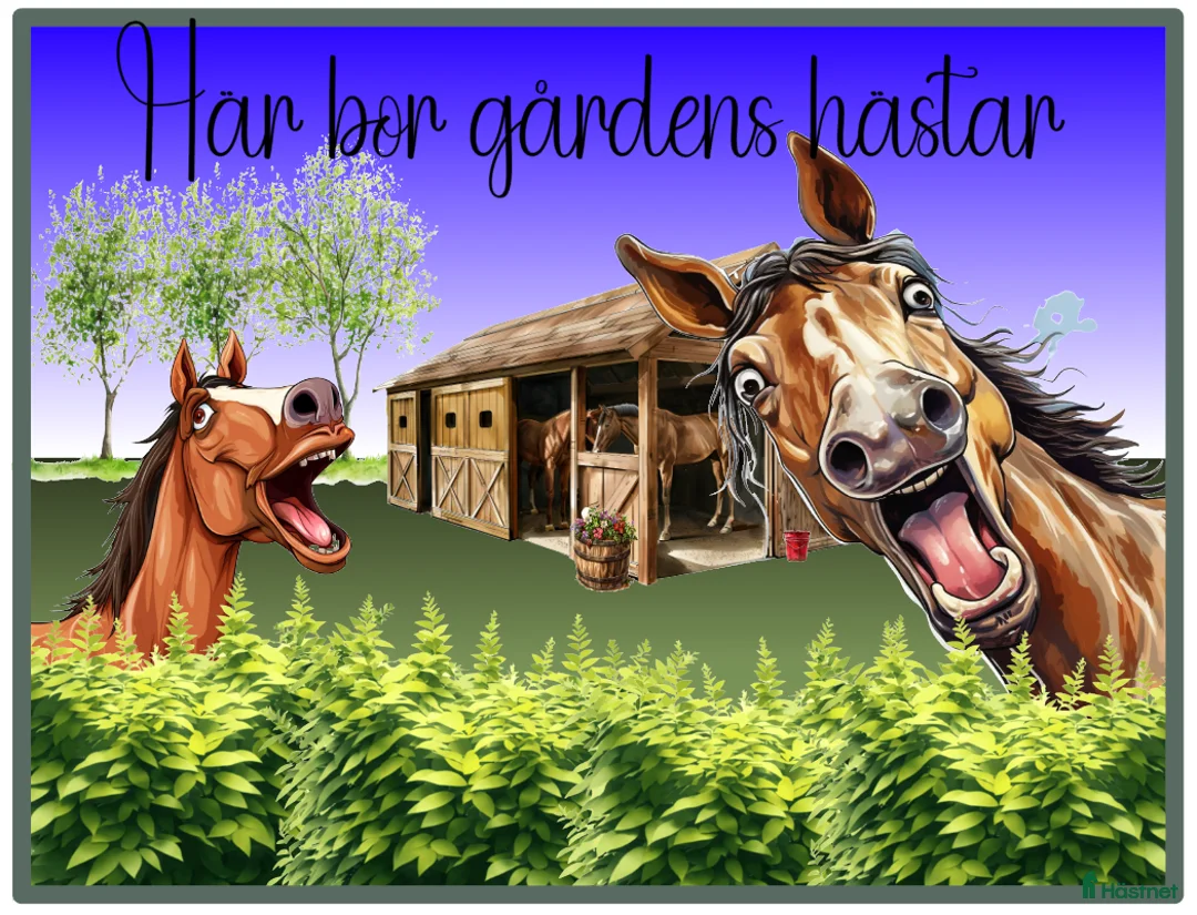 Stallinredning, stängsel & gård övrig utrustning till salu: Skyltar i Mjölby - Annons 3