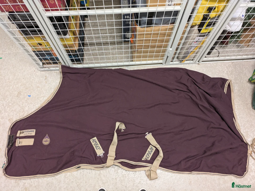 Täcken hästutrustning till salu: Amigo stable sheet 0 gram strl 145 - Annons 1