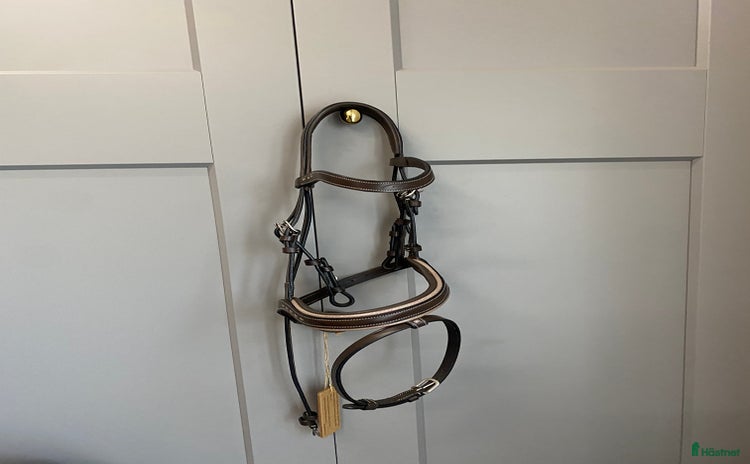 Träns hästutrustning till salu i Haparanda - Annons 11