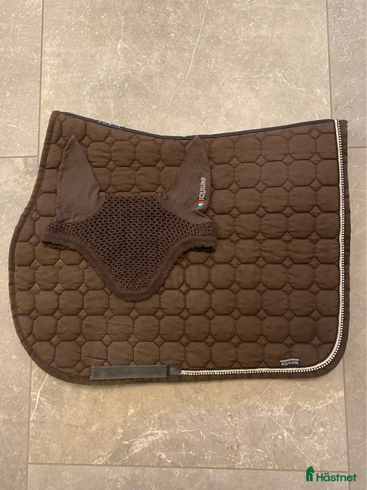 Schabrak & Vojlockar hästutrustning till salu: Equiline hoppschabrak och huva, FULL i Norrköping - Annons 8