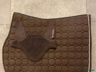 Schabrak & Vojlockar hästutrustning till salu: Equiline hoppschabrak och huva, FULL i Norrköping - Annons 3