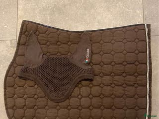 Schabrak & Vojlockar hästutrustning till salu: Equiline hoppschabrak och huva, FULL i Norrköping - Annons 18