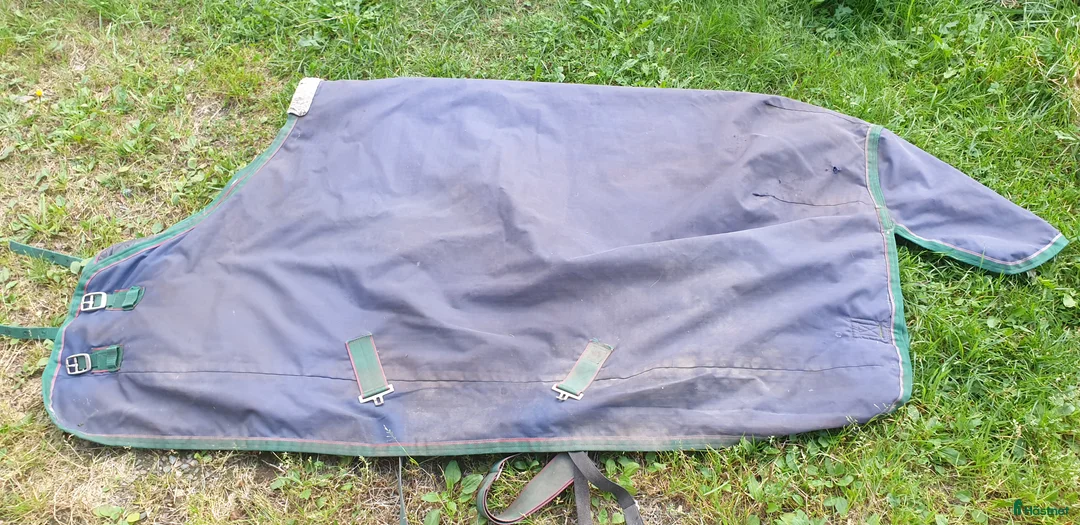 Övrig Hästutrustning hästutrustning till salu: Hästsaker i Skeppshult - Annons 6