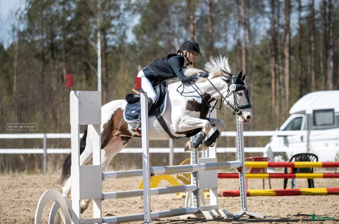  hästjobb finnes: Söker stalljob som groom! i Stockholm - Annons 2
