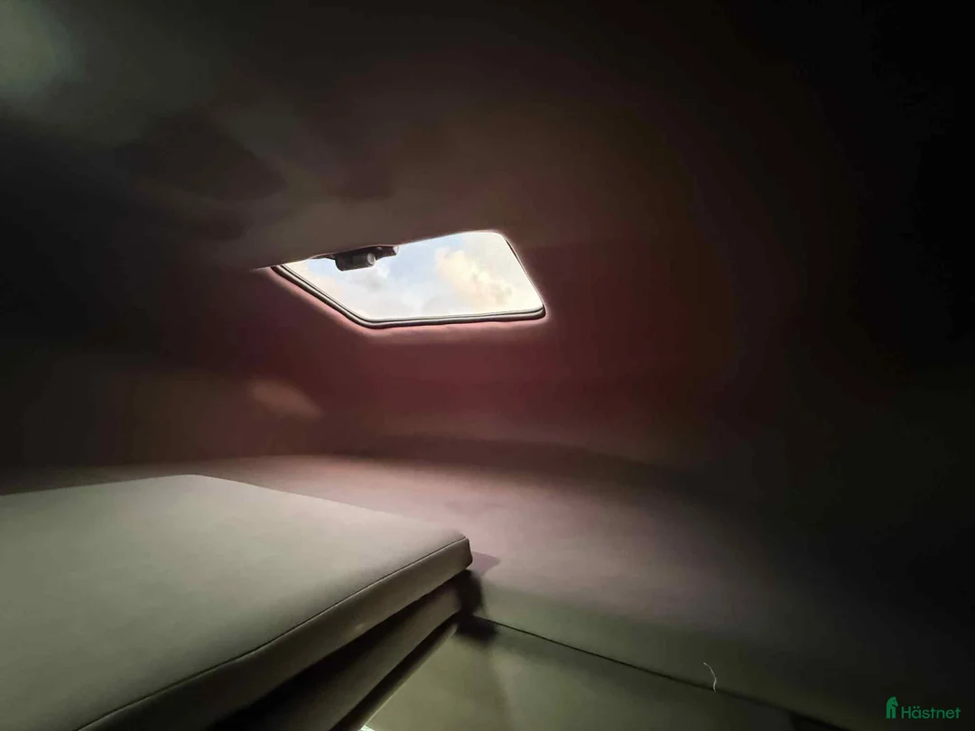 Hästlastbilar  fordon & transport till salu: PARAGAN GRAND PRESTIGE MAN TGE STUTERI  i Köping - Annons 15