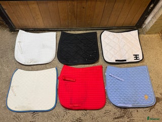 Schabrak & Vojlockar hästutrustning till salu: Dressyrschabrak stl full i Hofors - Annons 20