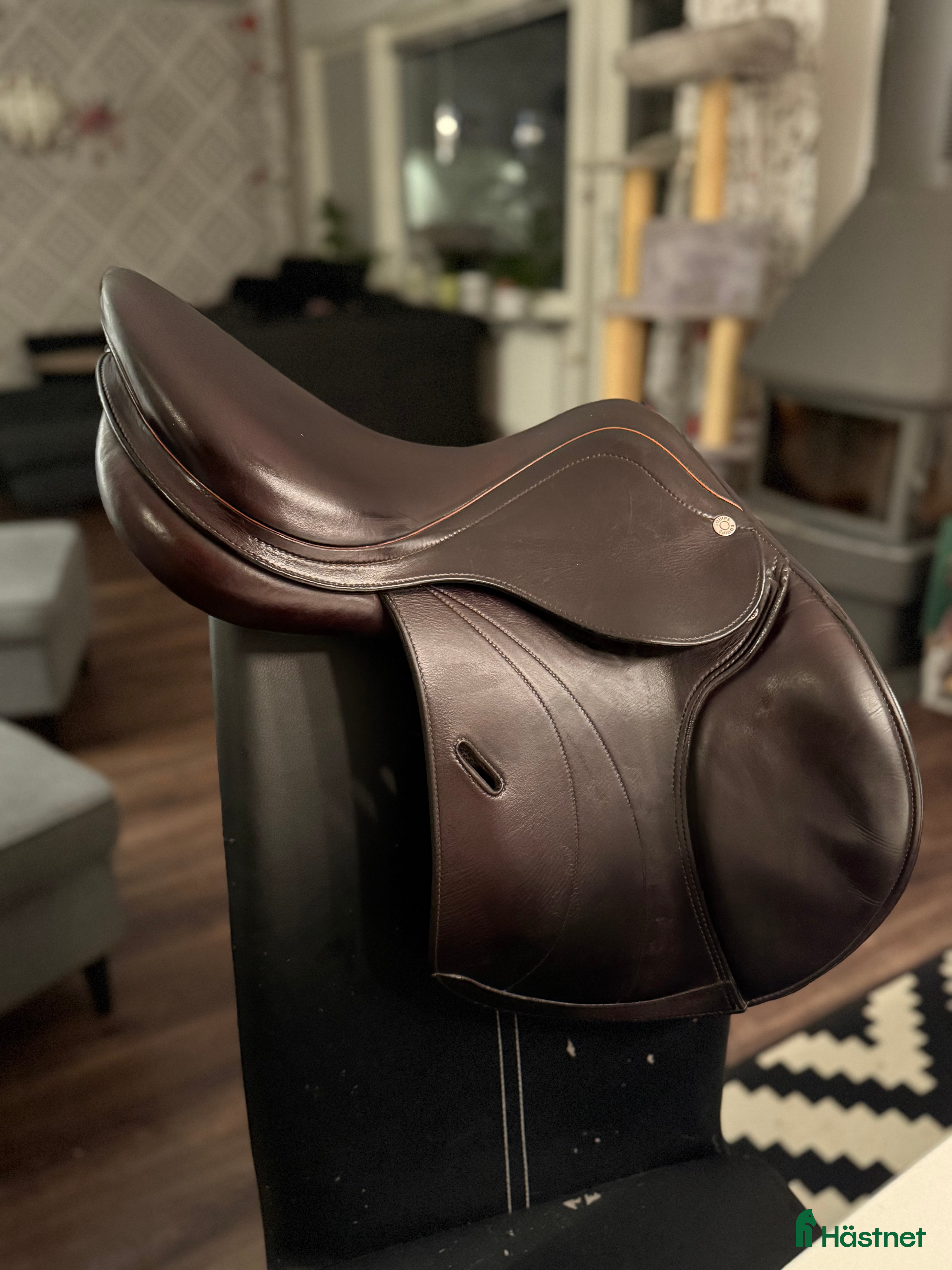 Sadlar hästutrustning Equipe expression Special 15,5” - Annons 1