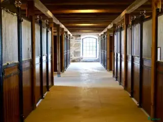 hästservice Unghästutbildning - Annons 8