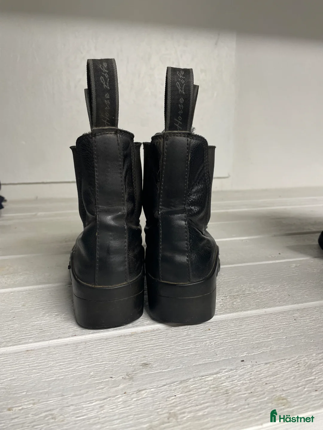 Övrig Ryttarutrustning ryttarutrustning till salu: Häst och ryttar kitt - Annons 26