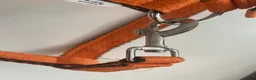 Övrig Hästutrustning hästutrustning till salu: Orange grimma strl ponny - Annons 4