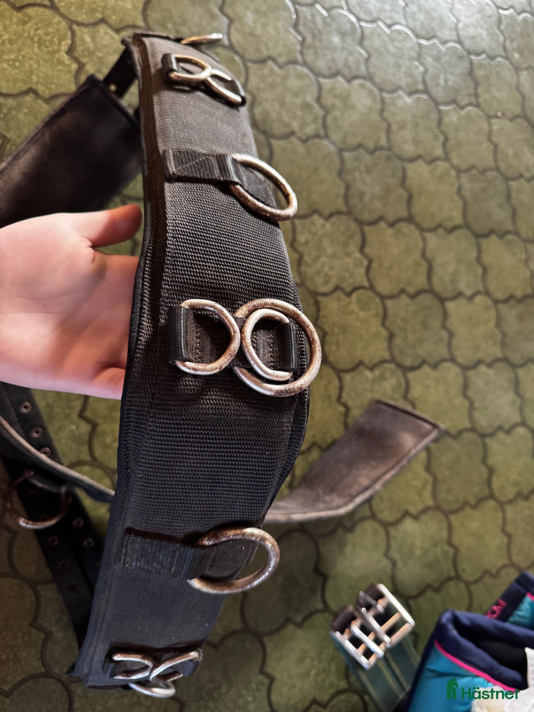 Övrig Hästutrustning hästutrustning till salu: Hästutrustning  i Kalmar - Annons 18