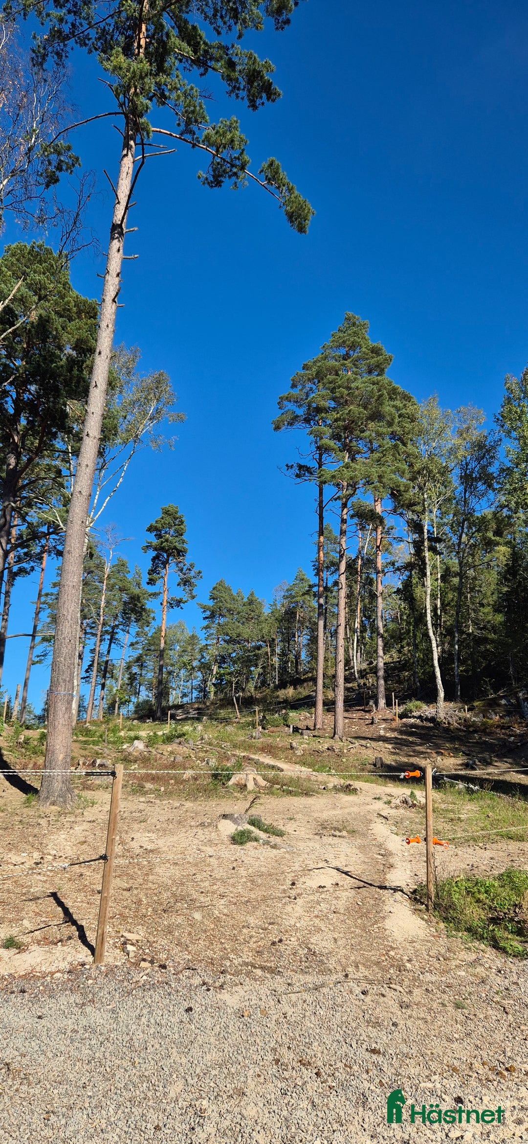  stallplats finnes: Stallplats för lättfödd i Tullinge  i Tullinge - Annons 2