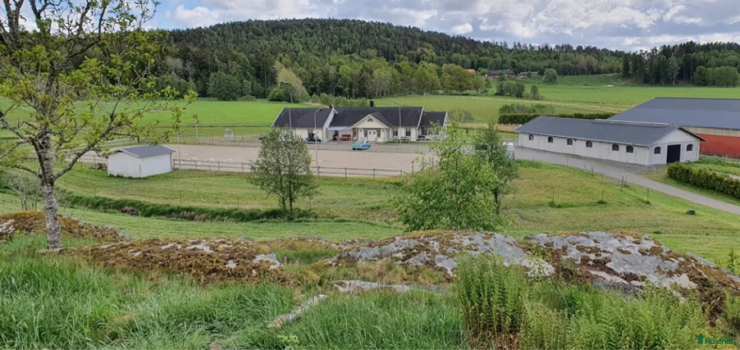  foderhäst sökes: Bästa vän sökes i Älvängen - Annons 1
