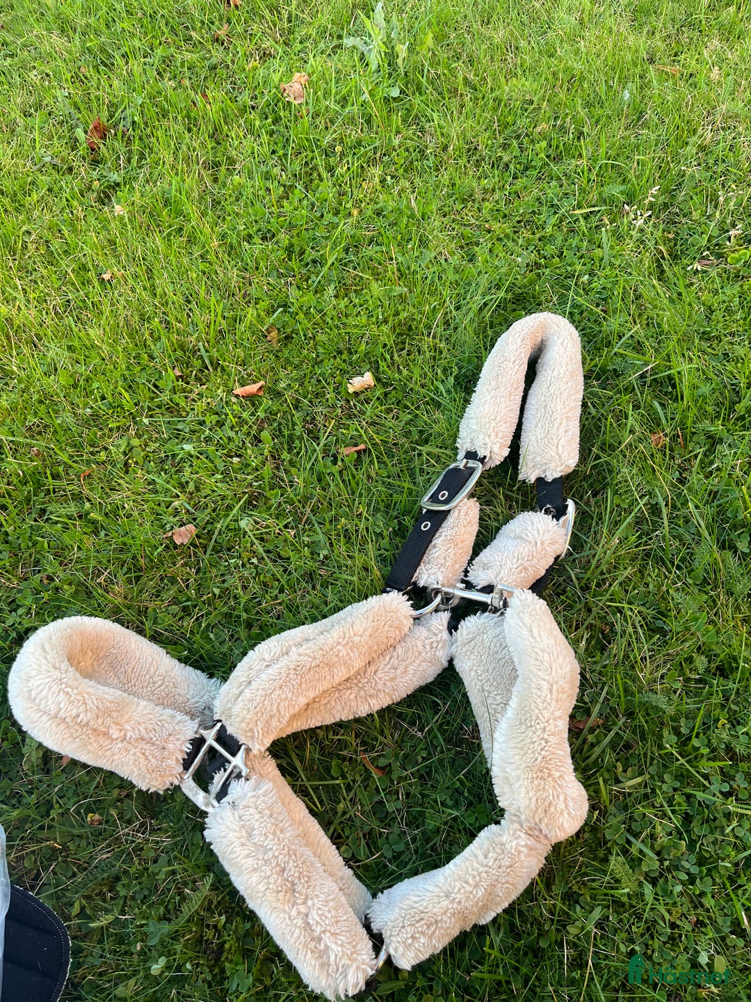 Övrig Hästutrustning hästutrustning till salu: Grimma med ludd i Aneby - Annons 1