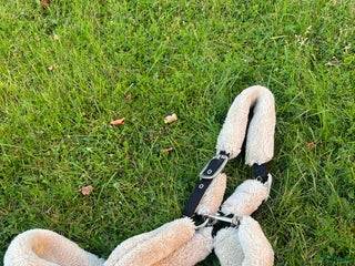 Övrig Hästutrustning hästutrustning till salu: Grimma med ludd i Aneby - Annons 16